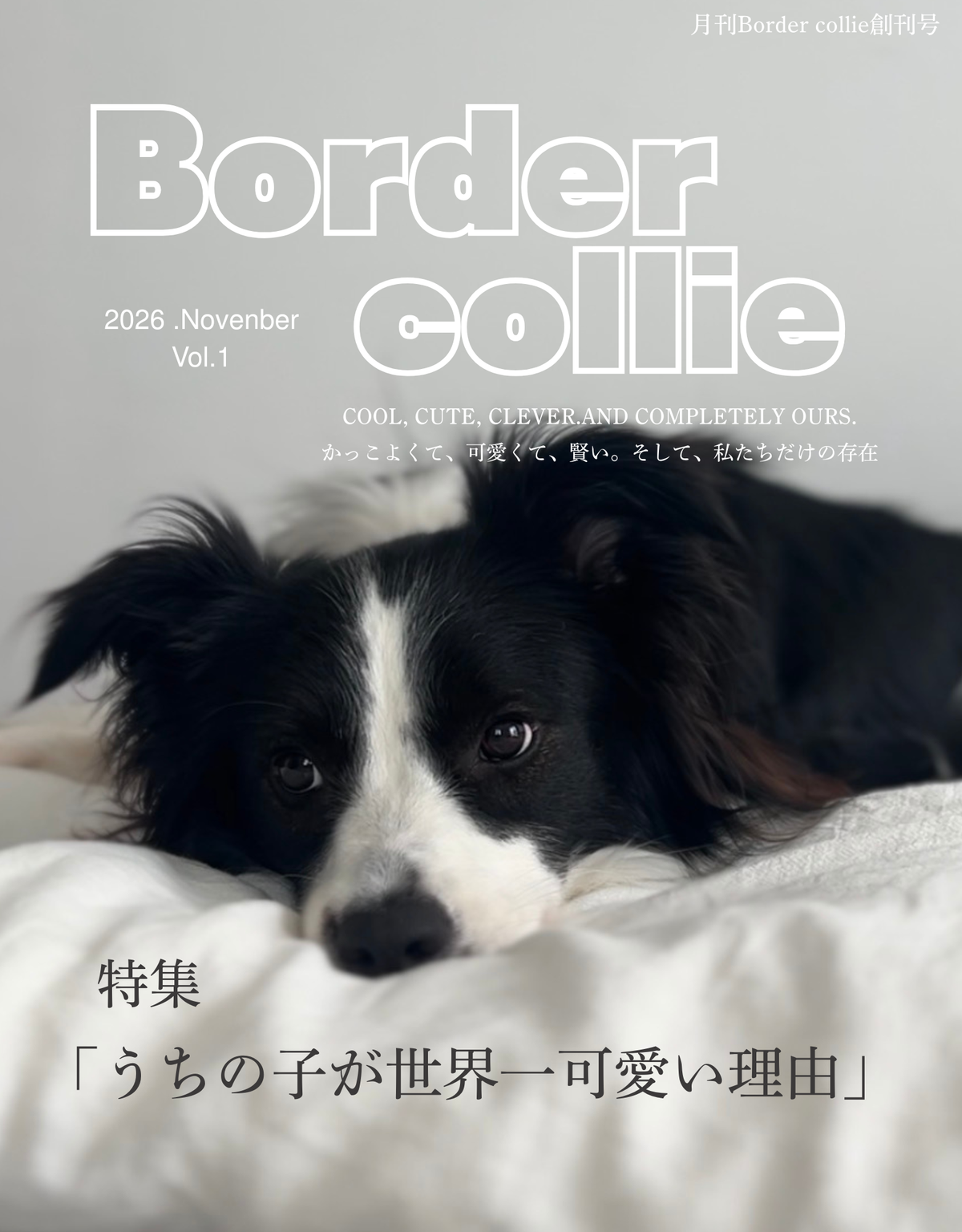 月刊ボーダーコリー創刊号|先行販売