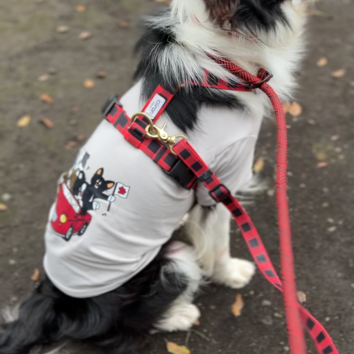 おそろいセット　トレーナー&犬服