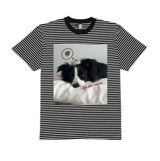 【フォトボーダーTシャツ】まどろみボーダーコリー