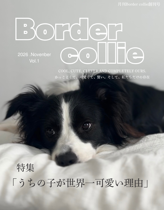 月刊ボーダーコリー創刊号｜先行販売