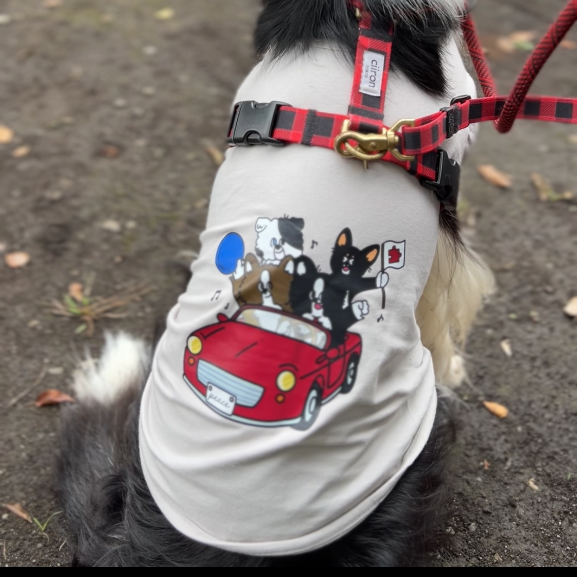 おそろいセット　トレーナー&犬服