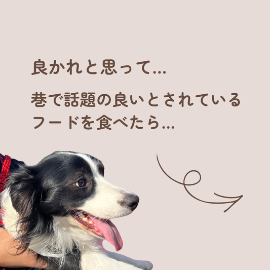 【おやつ】涙やけバイバイセット👋