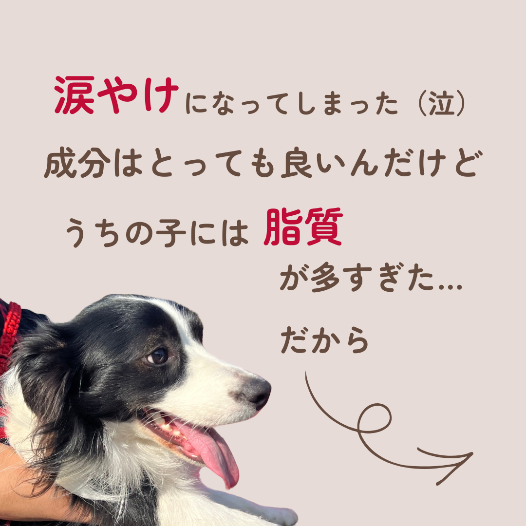 【おやつ】涙やけバイバイセット👋