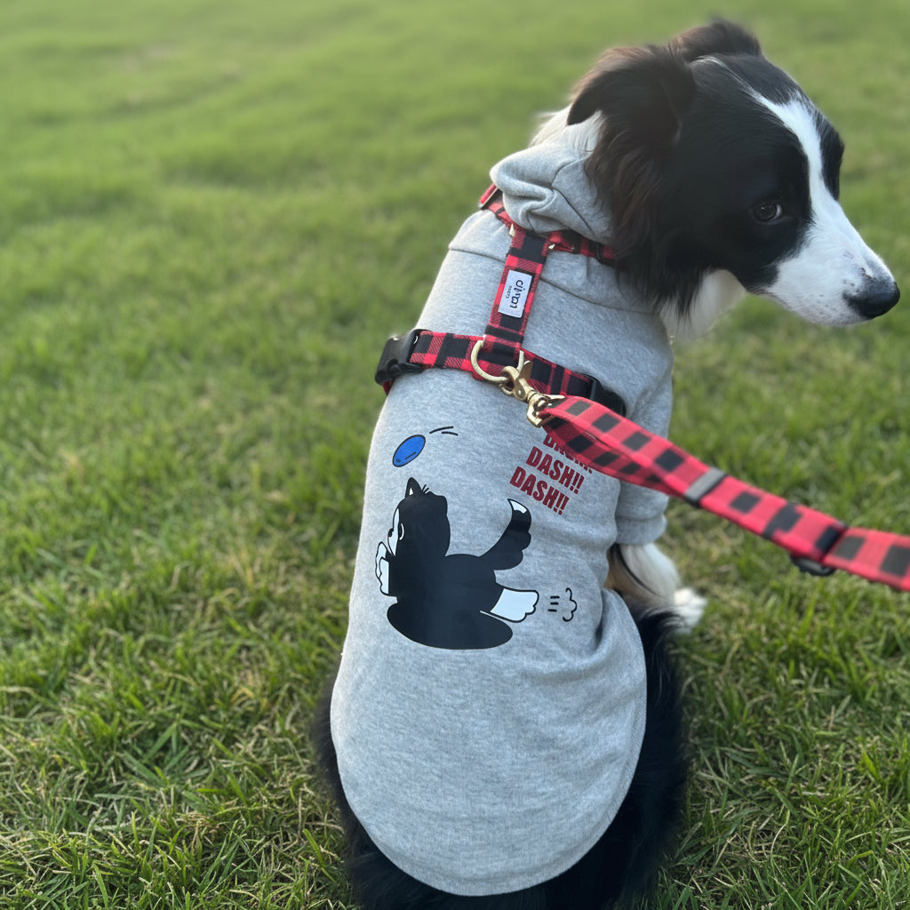 わんこ用パーカー