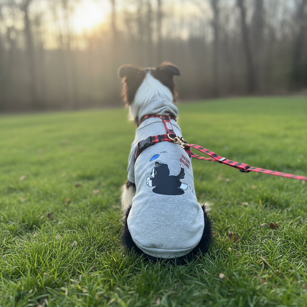 わんこ用パーカー